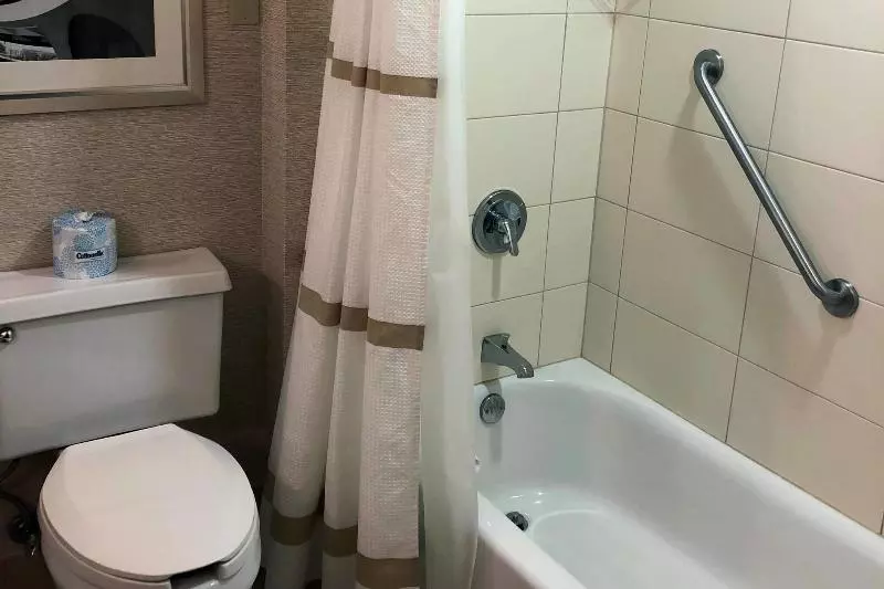 اتاق استاندارد با تخت بزرگ, Rochester Marriott Mayo Clinic Area