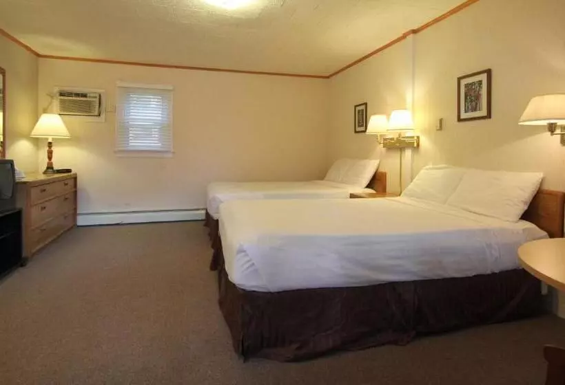 Standard-huone 2 Parivuodetta, Maple Leaf Motel