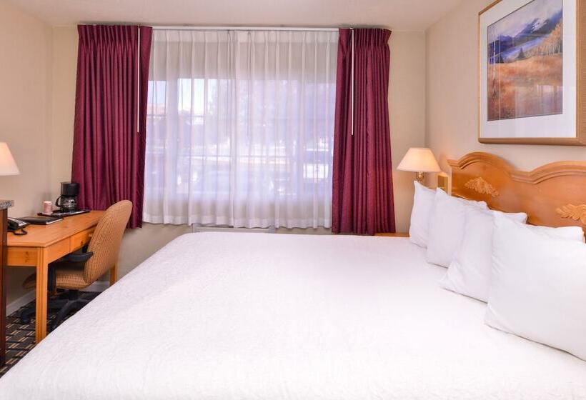 غرفة قياسية, Maverick Motel   Modern Renovated Motel