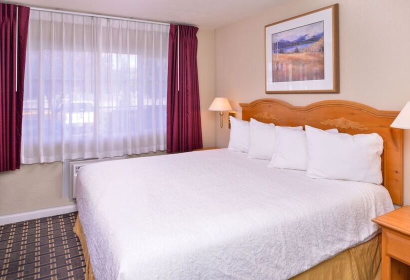 غرفة قياسية, Maverick Motel   Modern Renovated Motel