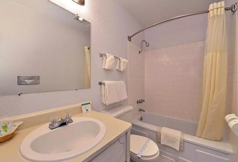 اتاق استاندارد با تخت بزرگ, Maverick Motel   Modern Renovated Motel