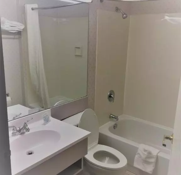 اتاق استاندارد, Microtel Inn & Suites By Wyndham