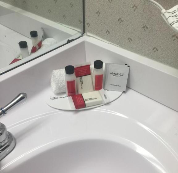 スタンダードルーム, Microtel Inn & Suites By Wyndham