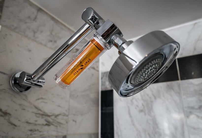 스탠다드 룸, Mgm Grand Hotel & Casino