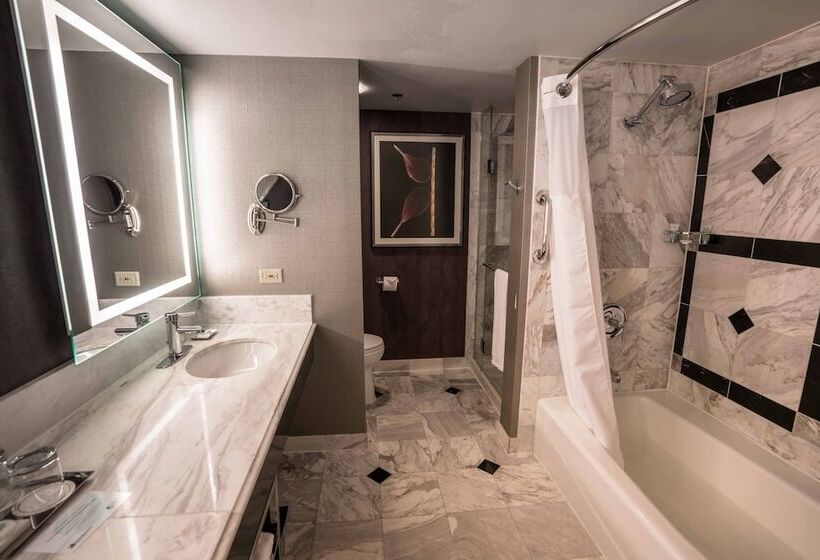 스위트, Mgm Grand Hotel & Casino