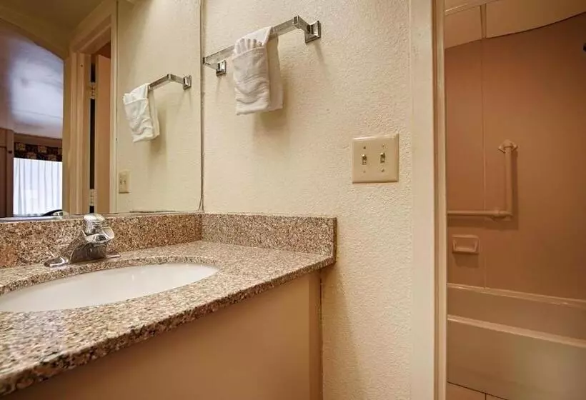 キングサイズベッドのスタンダードルーム, Surestay Hotel By Best Western East Brunswick