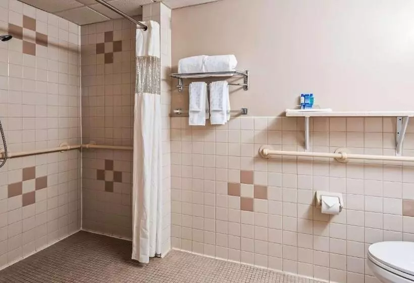 身障者適用キングサイズベッドルーム, Surestay Hotel By Best Western East Brunswick