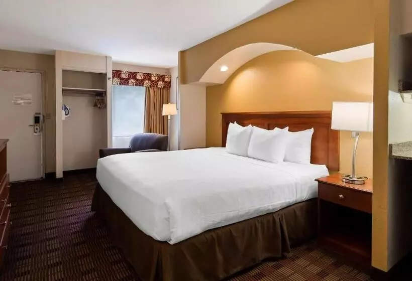 身障者適用キングサイズベッドルーム, Surestay Hotel By Best Western East Brunswick