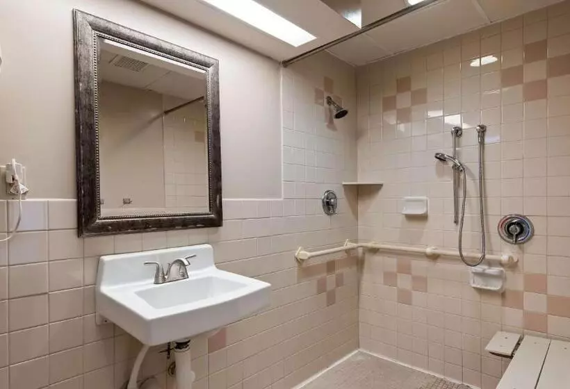 身障者適用キングサイズベッドルーム, Surestay Hotel By Best Western East Brunswick