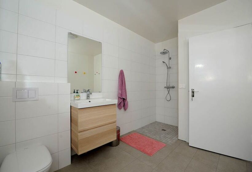 اتاق اکونومی با حمام مشترک, Arsalir Guesthouse Vik B&b