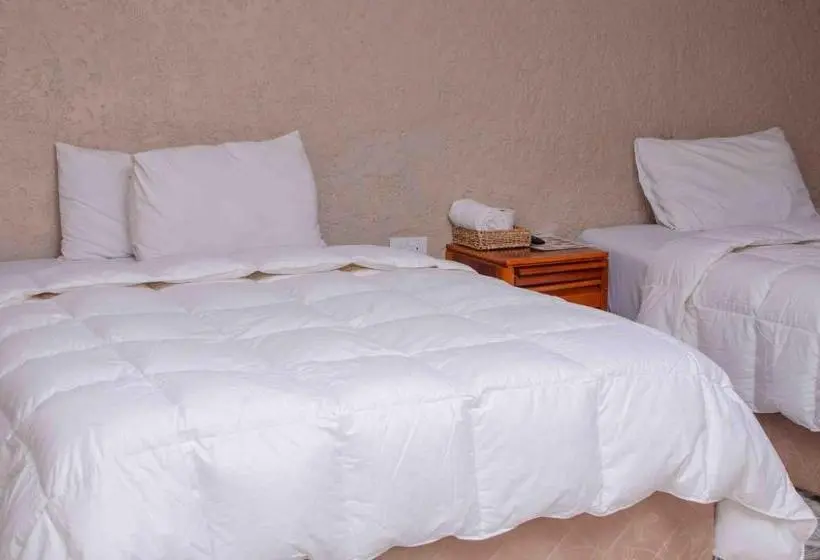 اتاق خانوادگی, Graceland Guesthouse