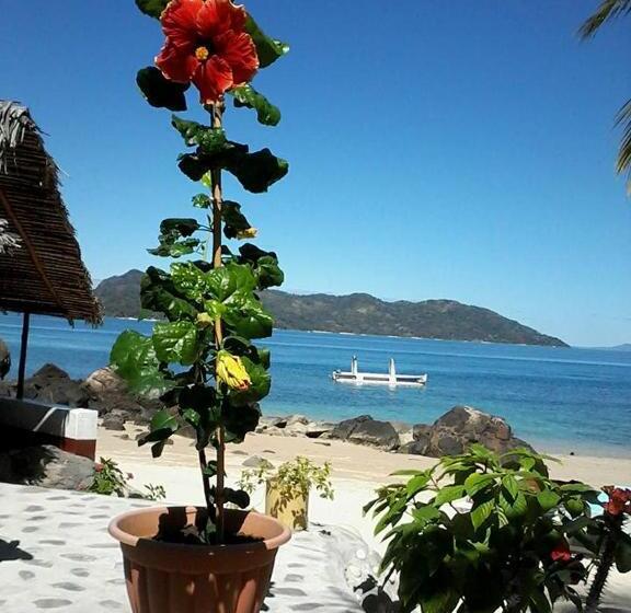 بانگلوی استاندارد با چشمانداز دریا, Remo E Berenice