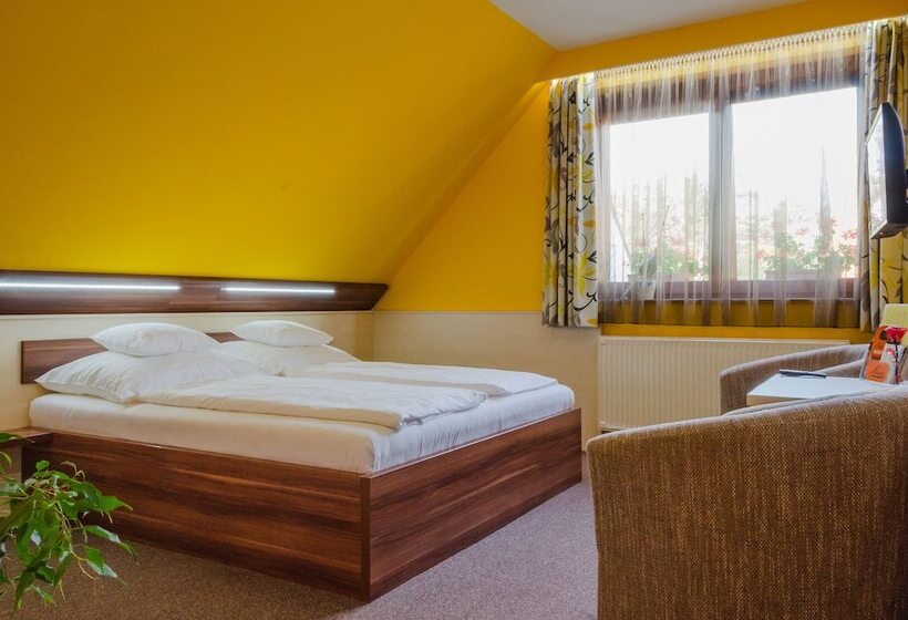 غرفة قياسية, Mayer Alsoors