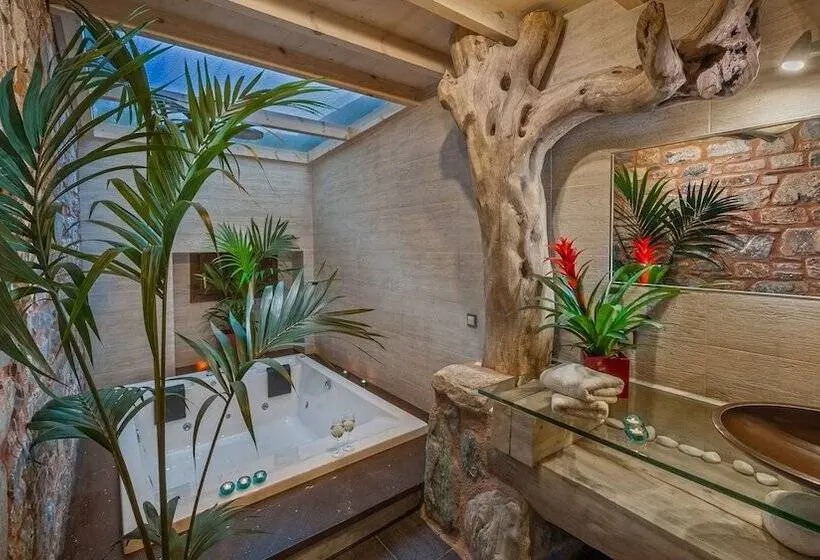 オーシャンビュージュニアスイート, Iakovakis Suites & Spa