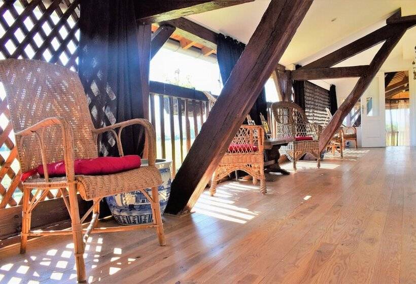 غرفة قياسية, La Magie Des Rêves