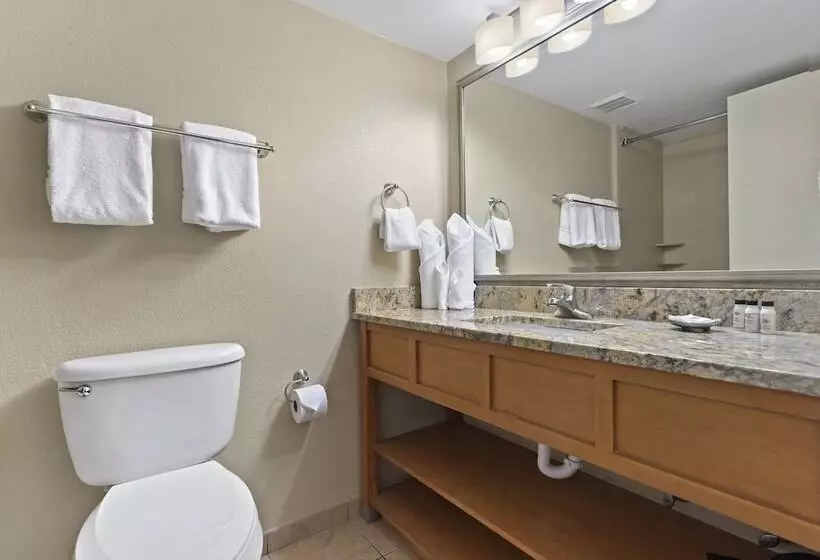 Deluxe-huone, Nautilus Inn  Daytona Beach