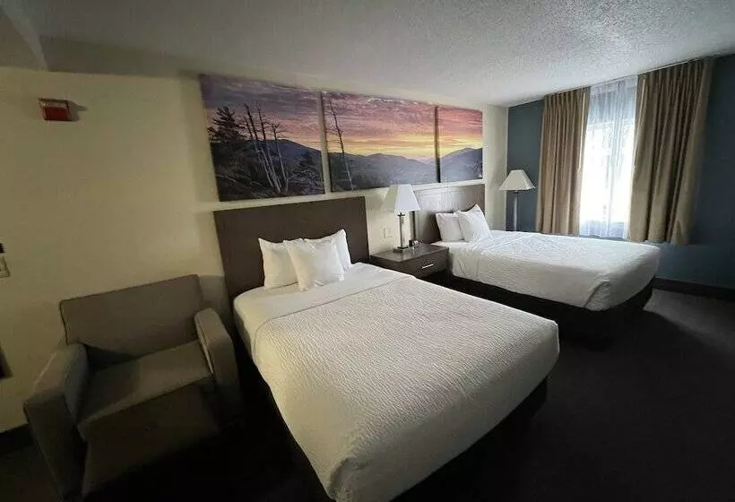 اتاق استاندارد با 2 تخت دوبل, Days Inn By Wyndham Penn State