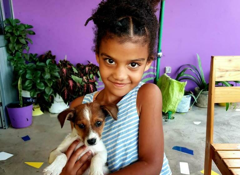 اتاق استاندارد یک نفره, Ciza E Rose