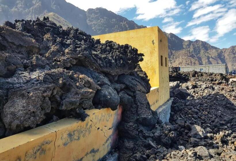 اتاق استاندارد, Ciza E Rose