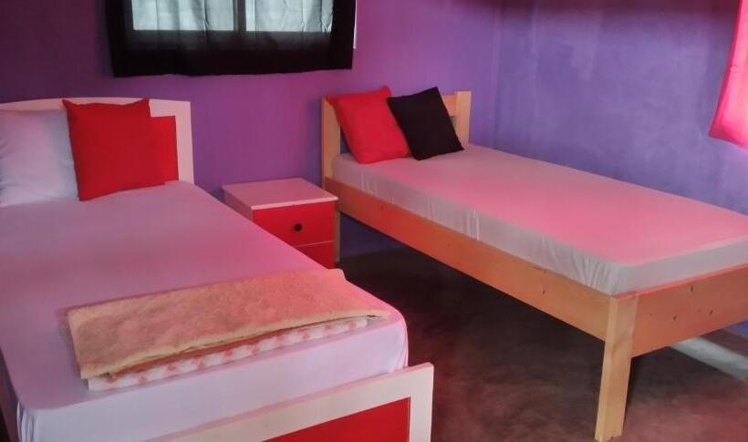 اتاق عادی یک تخته, Ciza E Rose