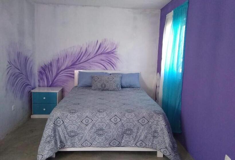 اتاق استاندارد یک نفره, Ciza E Rose