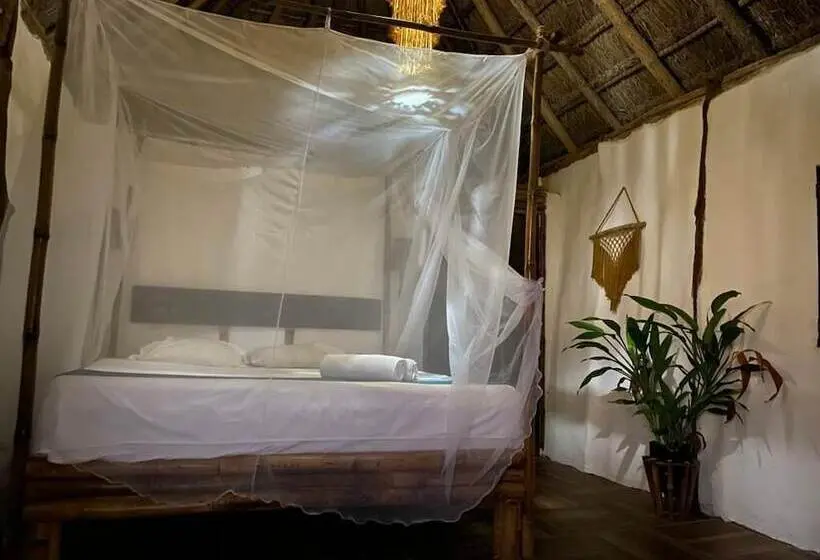 اتاق لوکس, Pancho Villa Tulum