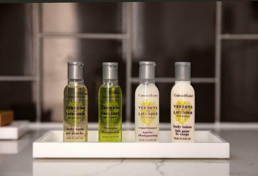 Номер Стандарт, Hilton Garden Inn Paris Orly Airport