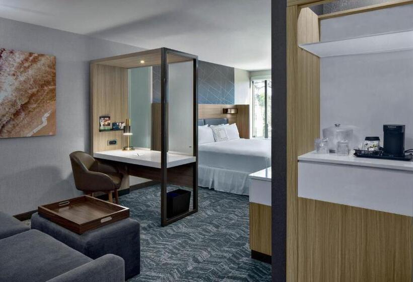 מיטת קינג בסוויטה, Springhill Suites Hilton Head Island