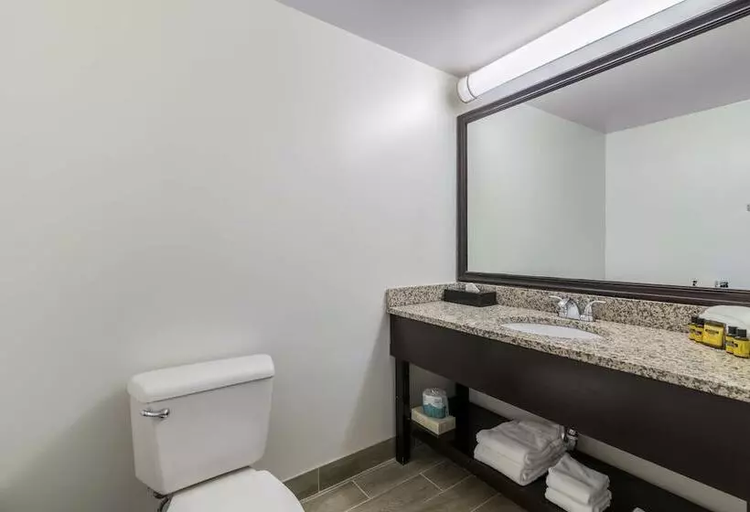 ハイドロマッサージバス付きスイート, Best Western Plus Brunswick Bath