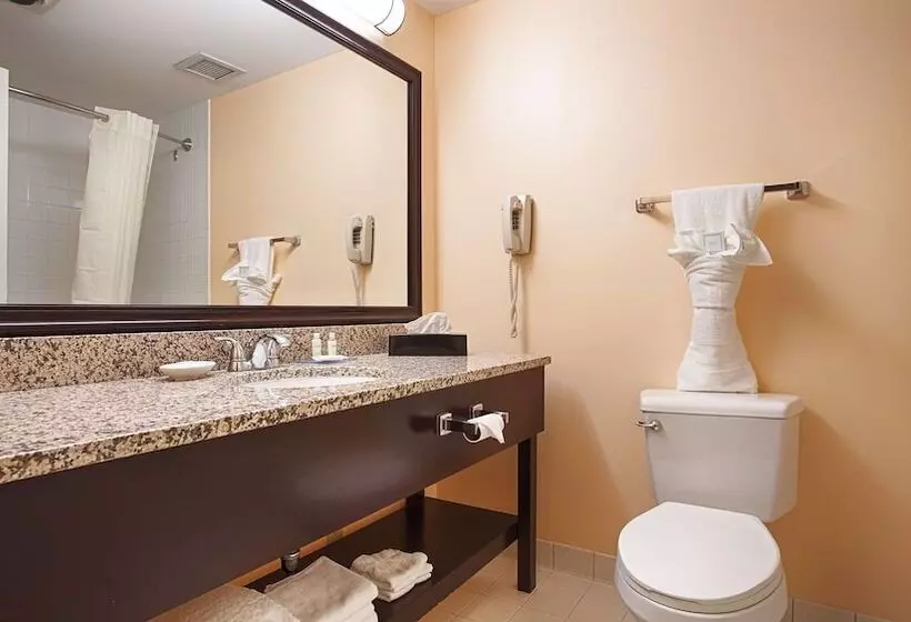 ハイドロマッサージバス付きスイート, Best Western Plus Brunswick Bath