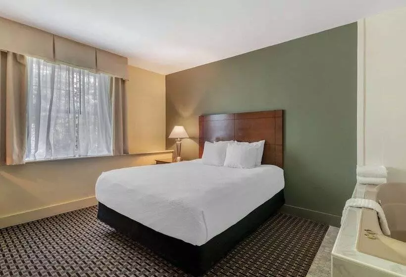 ハイドロマッサージバス付きスイート, Best Western Plus Brunswick Bath
