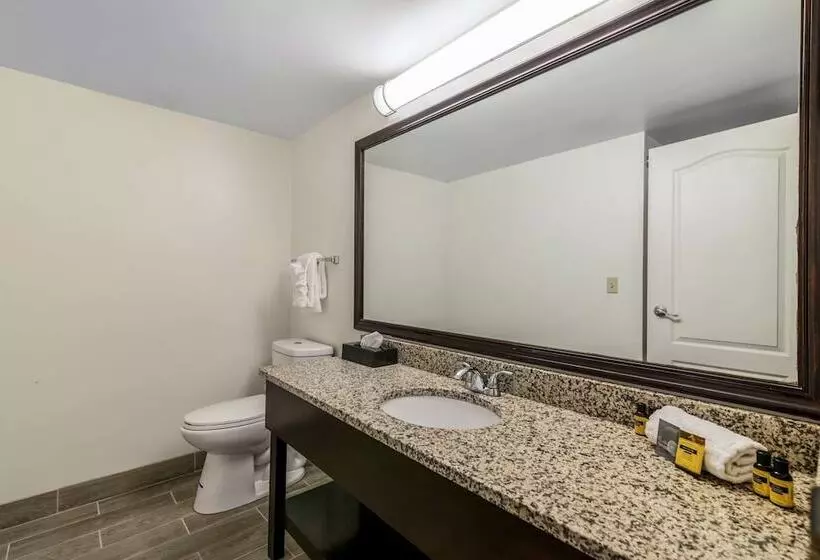 身障者適用スイートルーム, Best Western Plus Brunswick Bath