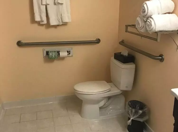 身障者適用スイートルーム, Best Western Plus Brunswick Bath