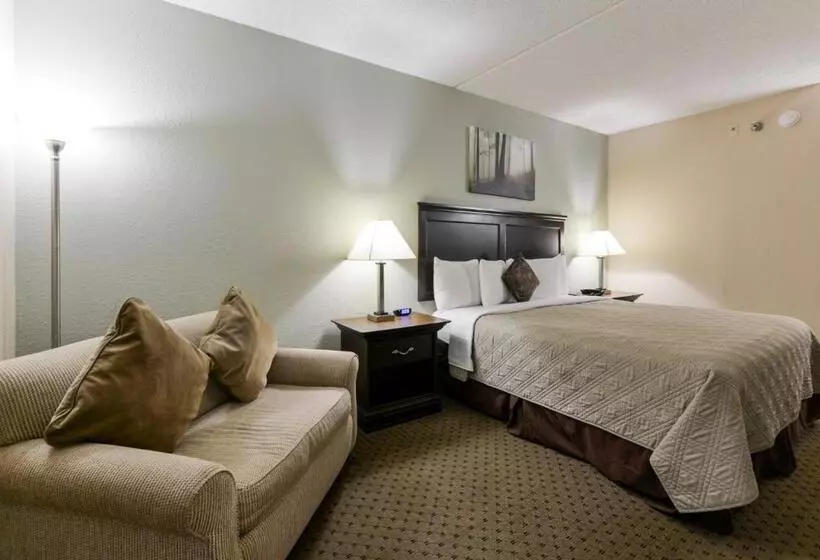キングサイズベッドのスタンダードルーム, Grand View Inn & Suites