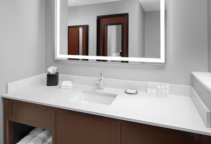 اتاق استاندارد برای معلولان, Hampton Inn Phoenix Biltmore