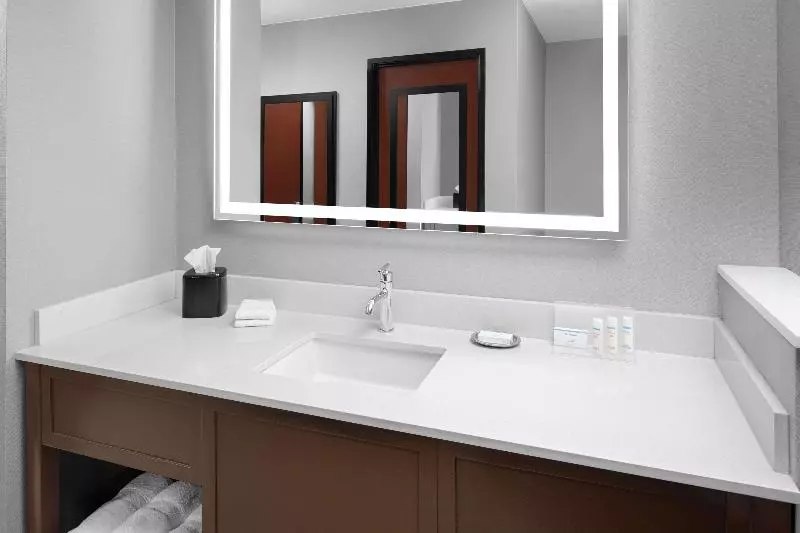 اتاق استاندارد با تخت بزرگ, Hampton Inn Phoenix Biltmore