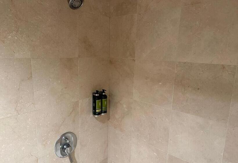 غرفة قياسية سرير كينج, Oxford Palace