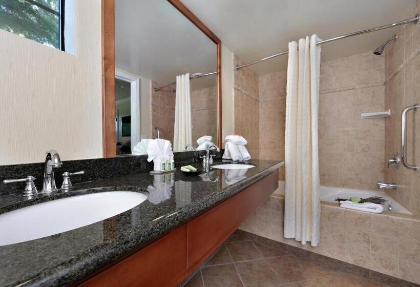 חדר סטנדרט עם מיטת קינג, Paso Robles Inn