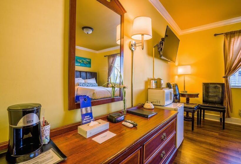 جناح جونيور, Pegasus International