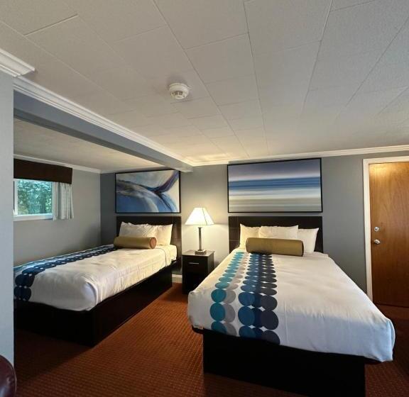 스탠다드 룸 더블 침대 2개, Rodeway Inn Orleans  Cape Cod