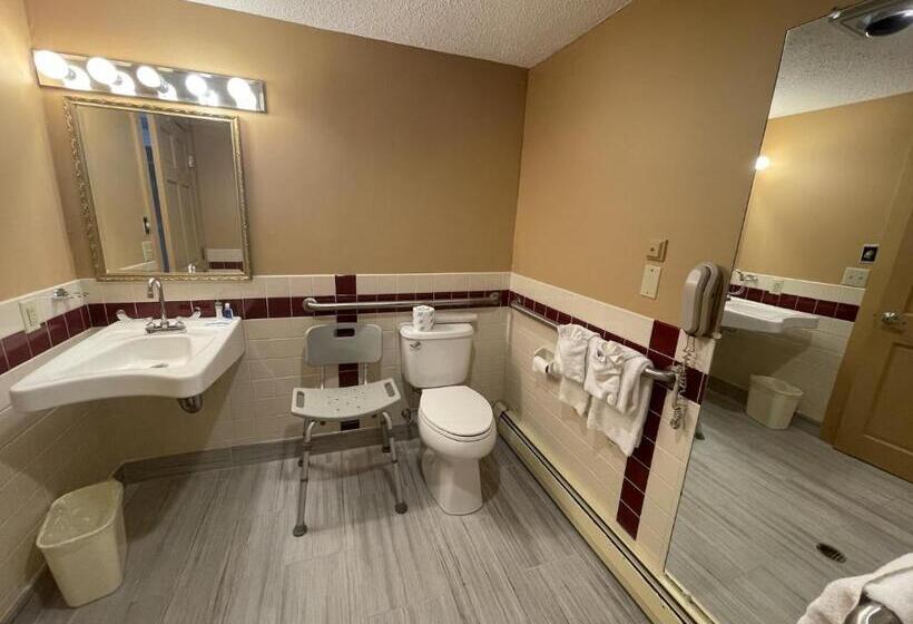 장애인을 위한 스탠다드 룸, Rodeway Inn Orleans  Cape Cod