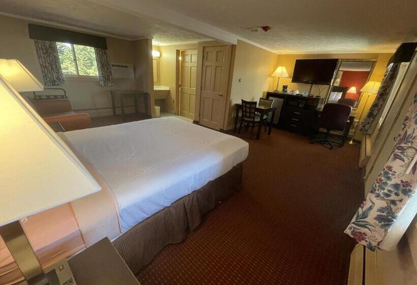 اتاق استاندارد برای معلولان, Rodeway Inn Orleans  Cape Cod