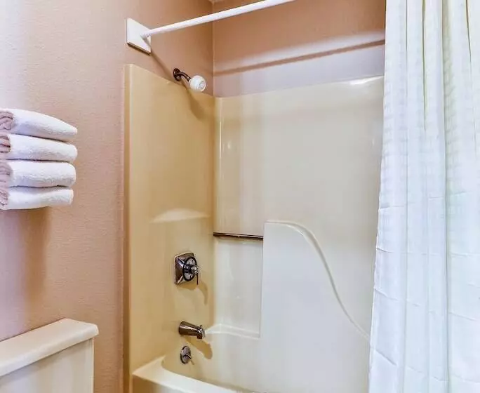 اتاق استاندارد, Polynesian Hotel & Suites Wisconsin Dells/lake Delton