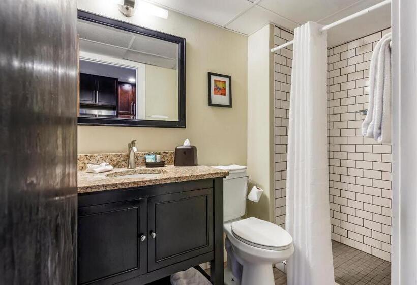 Люкс Повышенной Комфортности, Polynesian Hotel & Suites Wisconsin Dells/lake Delton