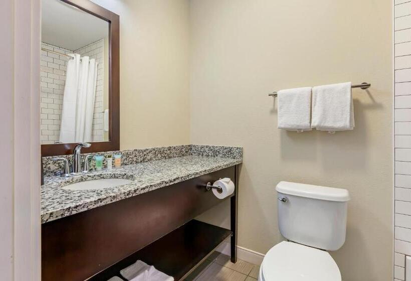 Люкс Повышенной Комфортности, Polynesian Hotel & Suites Wisconsin Dells/lake Delton