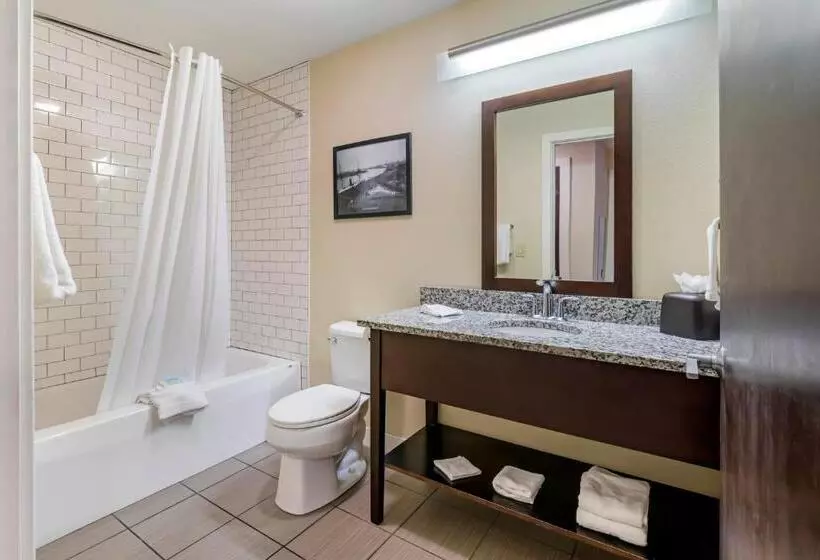 2 Bedroom Apartment Pool View, Polynesian Hotel & Suites Wisconsin Dells/lake Delton