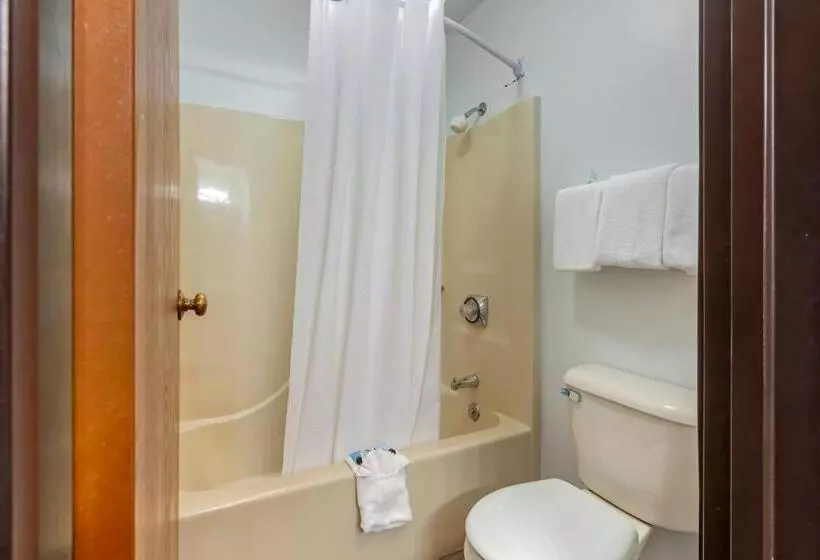 اتاق استاندارد با تخت بزرگ, Polynesian Hotel & Suites Wisconsin Dells/lake Delton