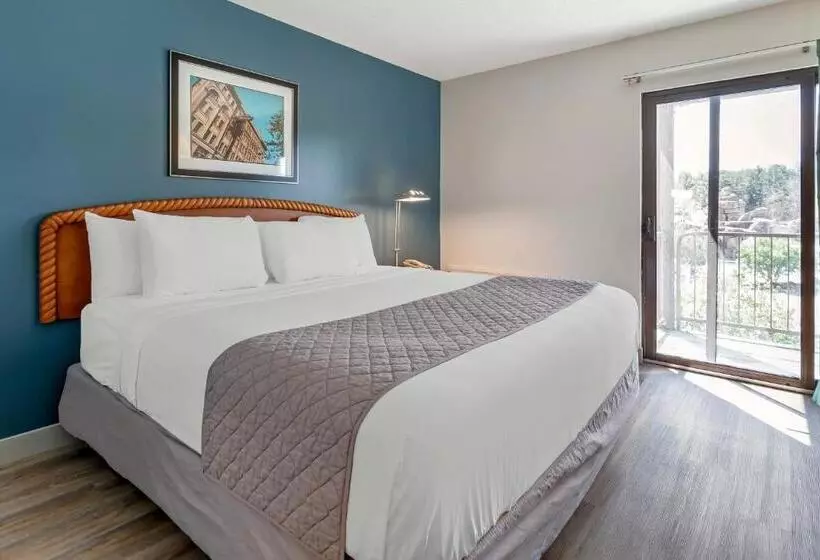 اتاق استاندارد با تخت بزرگ, Polynesian Hotel & Suites Wisconsin Dells/lake Delton