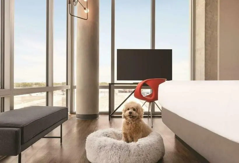 اتاق استاندارد با تخت بزرگ, Kompose Boutique Hotel Miami Airport