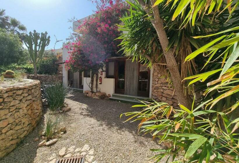 غرفة قياسية مزوَّدة بتراس, Casa Biank